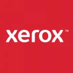 Xerox Profile Picture