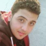 mahmoud sorour ragab Profile Picture