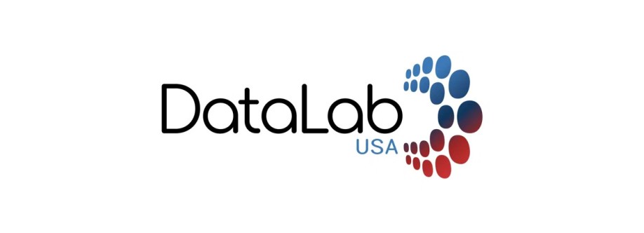 Datalab USA Cover Image