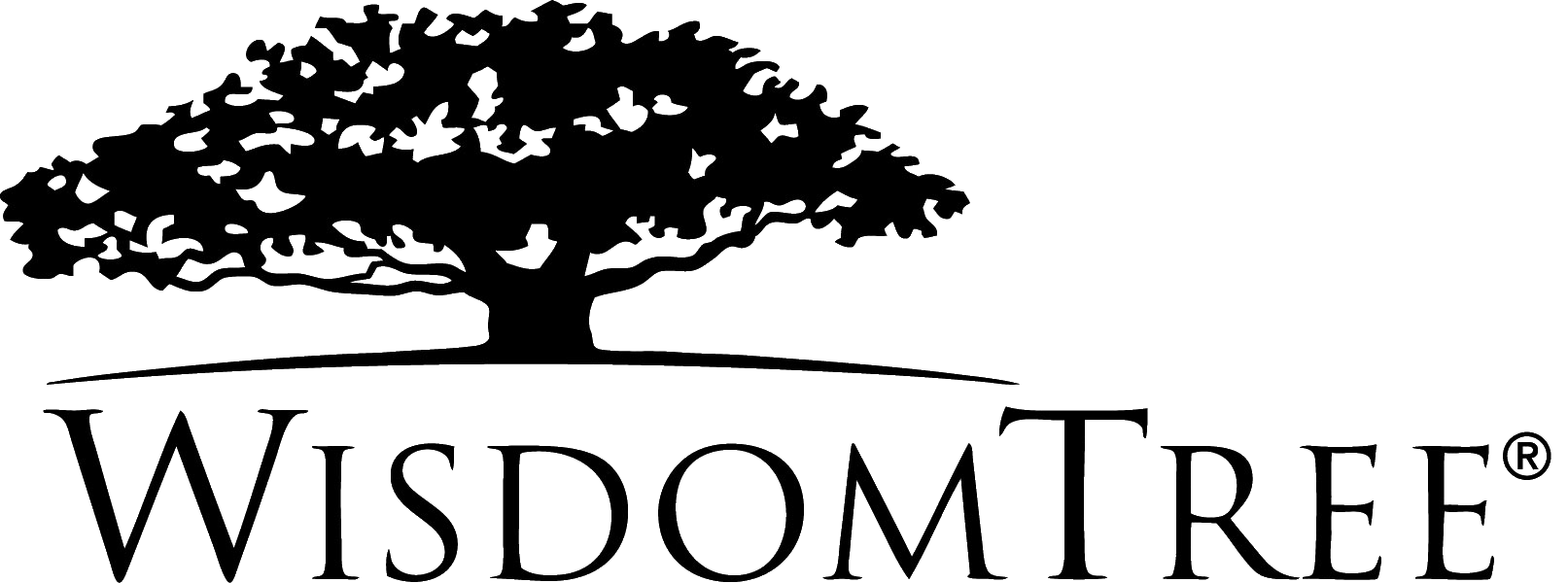 Firmenlogo